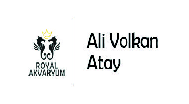 royal-akvaryum-ali-volkan-atay-x1