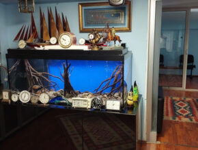 ProjeKapak ProjeKapak