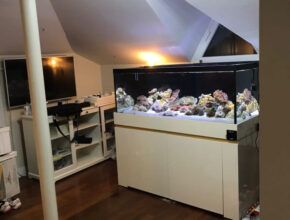 ProjeKapak ProjeKapak